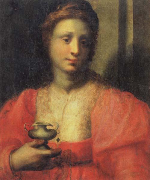 PULIGO, Domenico Portrait of a Woman Dressed as Mary Magdalen oil painting picture